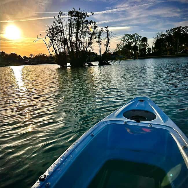 Kings Bay, Crystal River: Gentle Sunrise Manatee Kayak Tour - Wildlife Encounters: What Can You Expect?