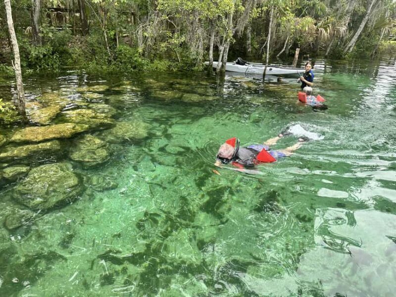 Kings Bay, Crystal River: Gentle Sunrise Manatee Kayak Tour - FAQs