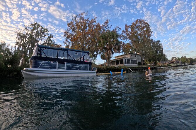 Kings Bay Manatee Watching Cruise - FAQs