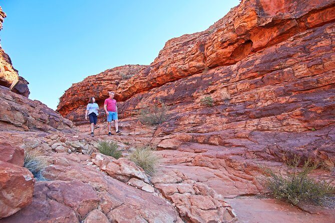 Kings Canyon Day Trip from Ayers Rock (Uluru) - A Complete Review of the Kings Canyon Day Trip from Uluru