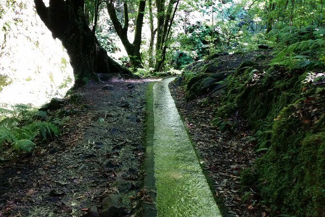 Kings Levada - São Jorge - An In-Depth Look at Kings Levada - São Jorge