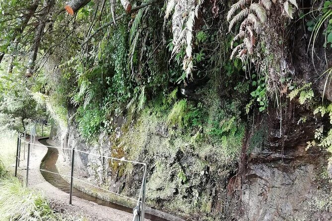Kings Levada - São Jorge - Frequently Asked Questions