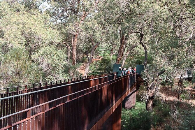 Kings Park Botanicals And Beyond - An In-Depth Look at Kings Park Botanicals & Beyond