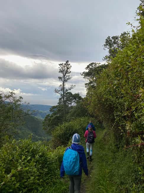 Kingston: Blue Mountain Peak Hike and Coffee Farm Experience - Key Points