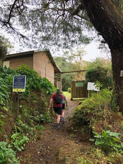 Kingston: Blue Mountain Peak Hike and Coffee Farm Experience - The Sum Up