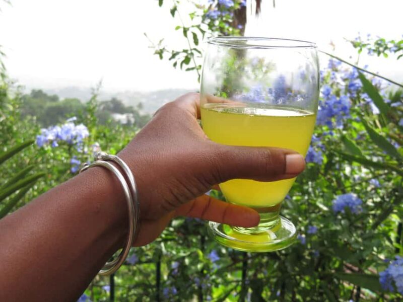 Kingston Blue Mountains Tour with Coffee Tasting - Setting Out from Kingston: The Scenic Journey Begins