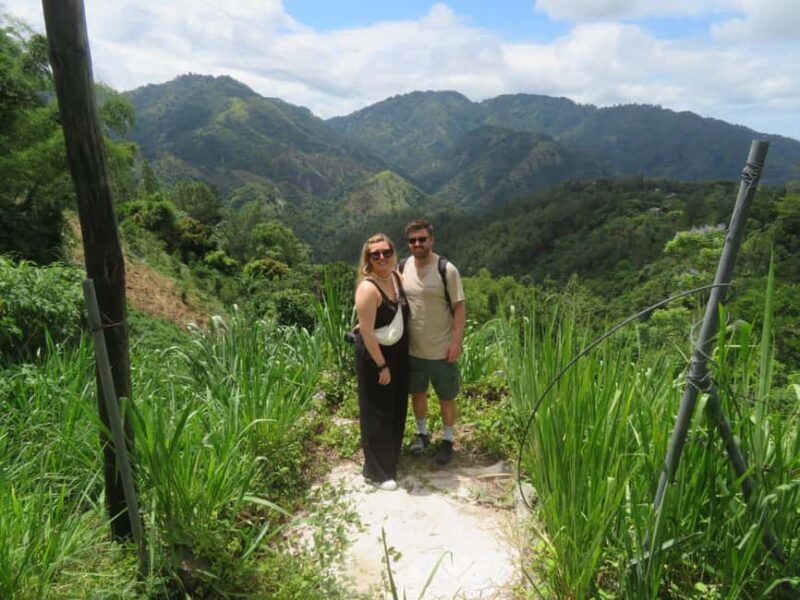 Kingston Blue Mountains Tour with Coffee Tasting - The Sum Up