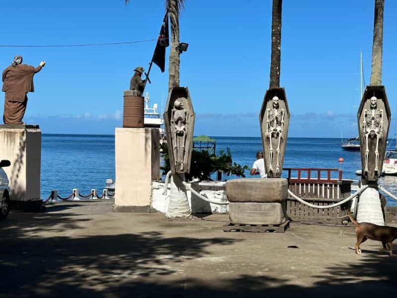 Kingstown: Cascading Dark View Falls and Beach Tour - Final Thoughts