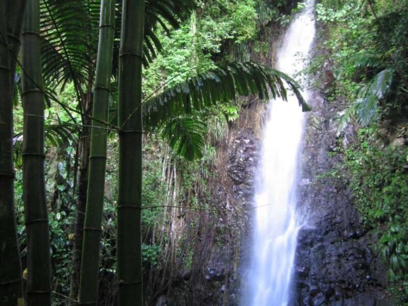 Kingstown: Dark View Falls Tour with Pickup - Discover the Beauty of Saint Vincent: Dark View Falls Tour with Pickup
