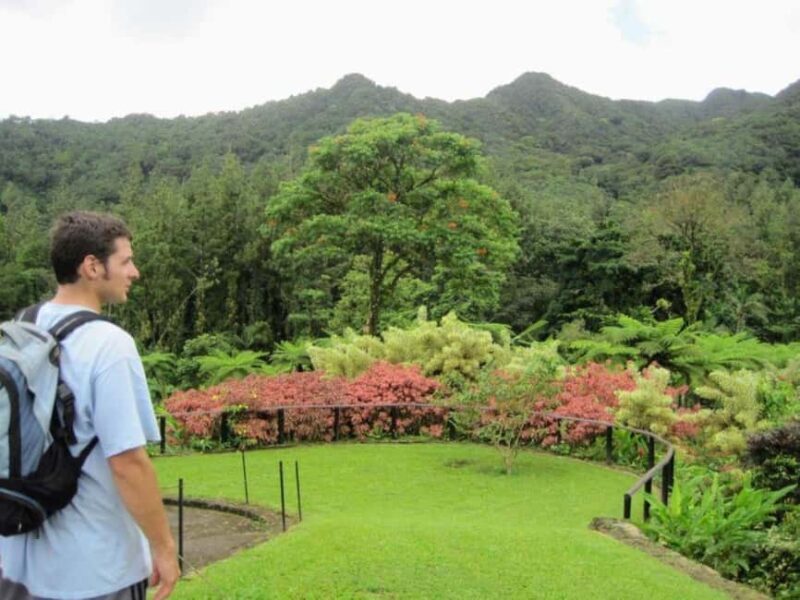 Kingstown: Montreal Gardens and Belmont Lookout Tour - Who Would Enjoy This Tour?