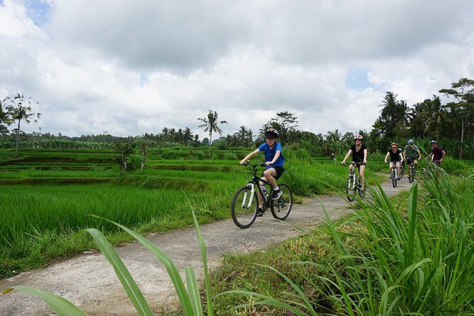 Kintamani Cultural and Nature Cycling Tour ( Manual Bike ) - Discover Bali on Two Wheels: The Kintamani Cultural and Nature Cycling Tour
