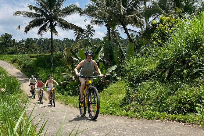 Kintamani Down Hill Cycling - Kintamani Down Hill Cycling: An Authentic Balinese Adventure