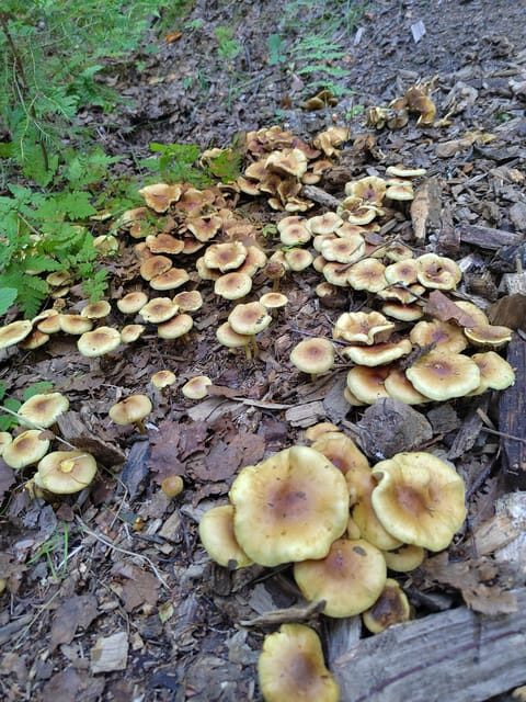 Kintulammi Nature Experience (Nature reserve near Tampere) - The Sum Up