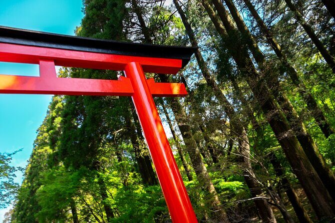 Kirishima Highlights from Kagoshima Port by Private Car - Discovering the Best of Kirishima from Kagoshima Port: An In-Depth Review