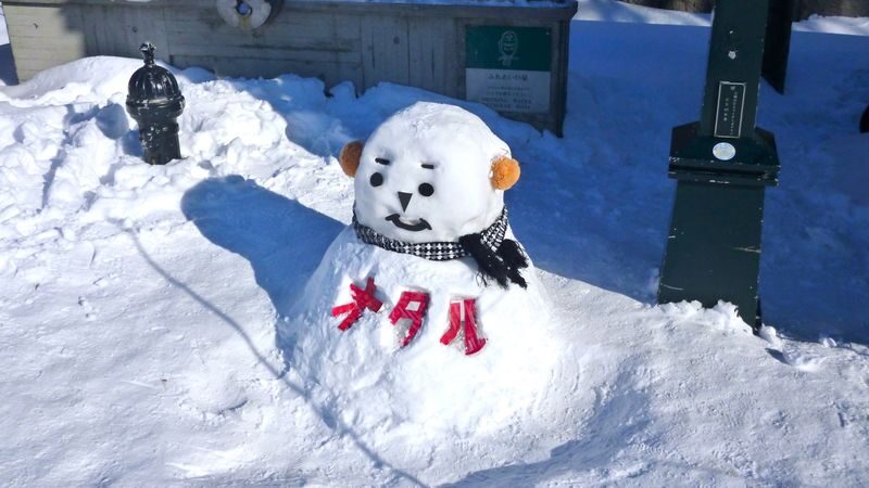 KIRORO Ski & Snow Experience & Otaru Sightseeing Bus Tour | Hokkaido - Who should book this tour?