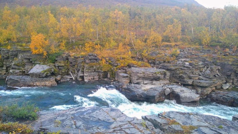 Kiruna: Abisko National Park Guided Day Tour with Lunch - Kiruna: Abisko National Park Guided Day Tour with Lunch — An Authentic Arctic Experience