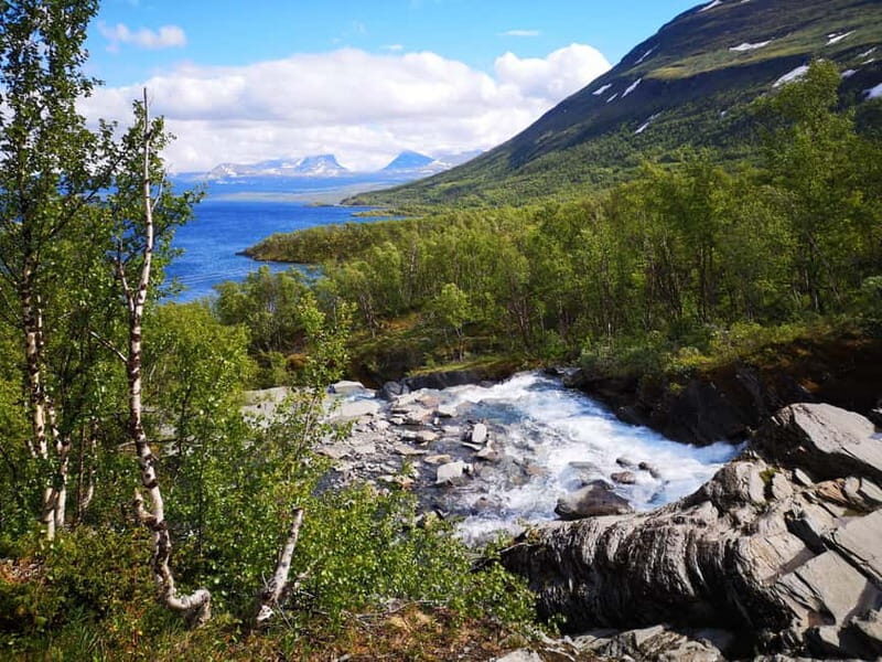 Kiruna: Abisko National Park Guided Day Tour with Lunch - Key Points