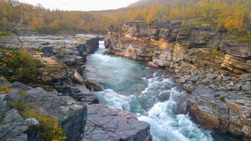 Kiruna: Abisko National Park Guided Day Tour with Lunch - Who Should Consider This Tour?