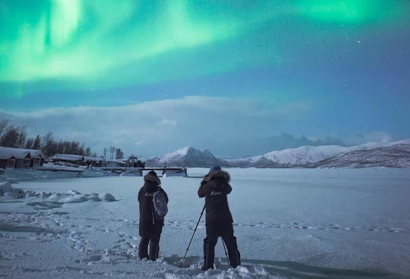 Kiruna: Abisko Northern Lights Tour with Dinner - The Detailed Breakdown