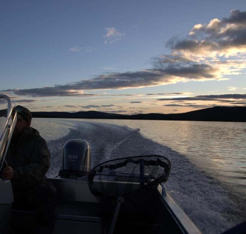 Kiruna: Boat Trip with Coffee and Sandwich - Key Points