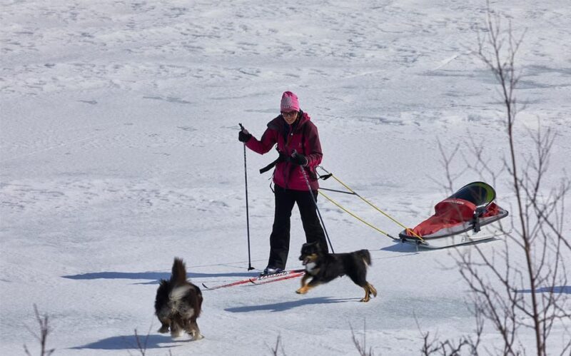 Kiruna: Cross-Country Skiing Tour with a Guide - An Authentic Arctic Experience in Kiruna