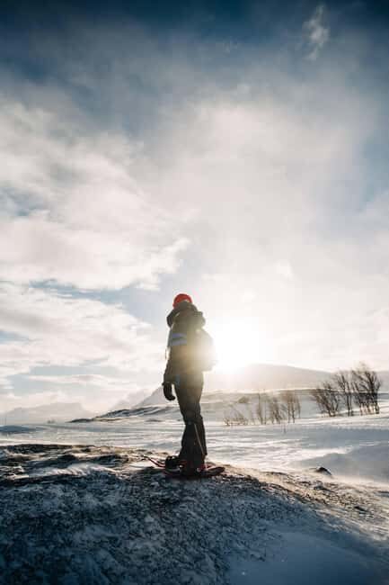Kiruna: Daytime Snowshoe Hike - Experience the Arctic with a Daytime Snowshoe Hike in Kiruna