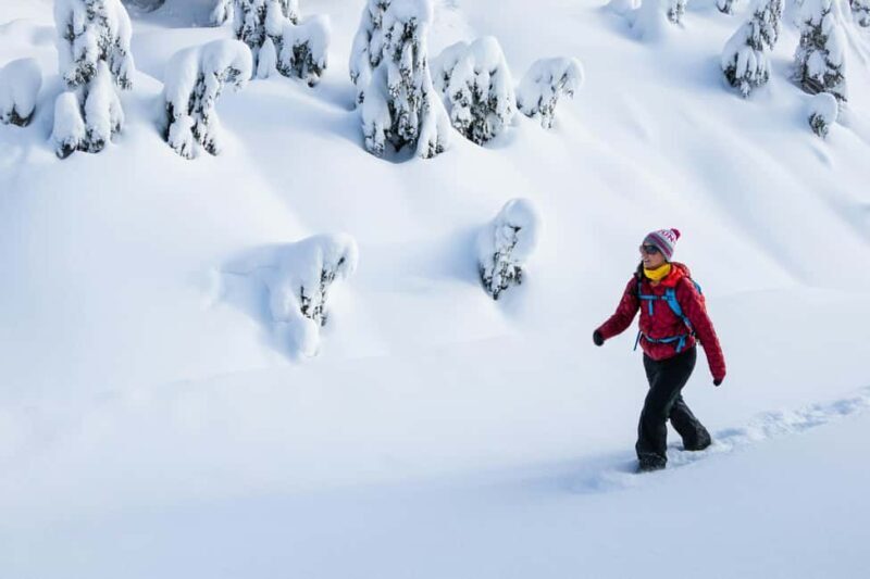 Kiruna: Daytime Snowshoe Hike - Frequently Asked Questions