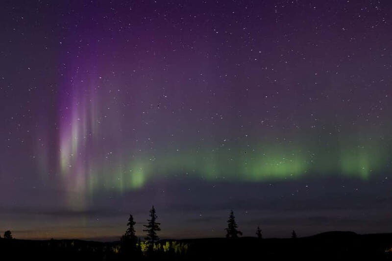 Kiruna: Northern Lights Dog Sled Tour with Swedish Fika - Key Points