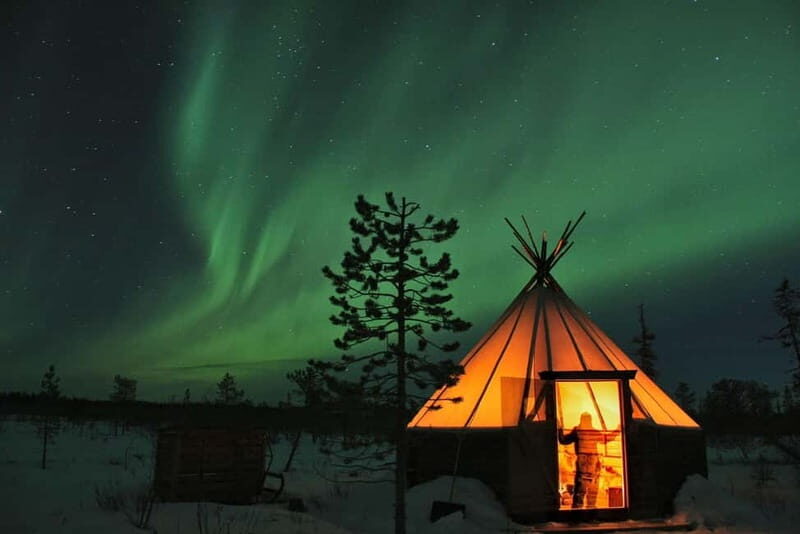 Kiruna: Northern Lights Dog Sled Tour with Swedish Fika - Practical Considerations and Tips