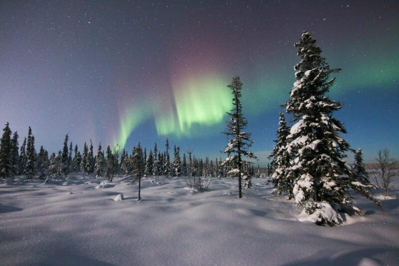 Kiruna: Northern Lights Minivan Chase with Warm Drink - Key Points