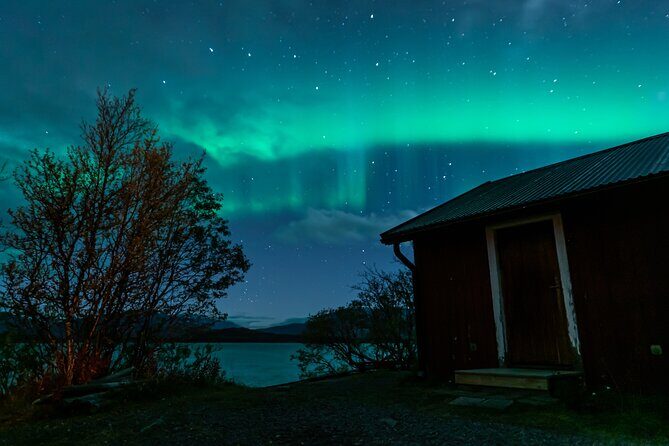 Kiruna Northern Lights Tour with Photographer - A Deep Dive into the Experience