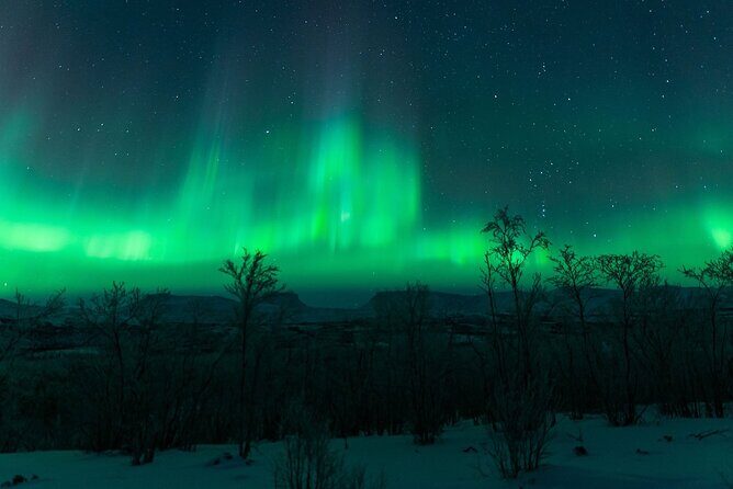 Kiruna Northern Lights Tour with Photographer - In The Sum Up