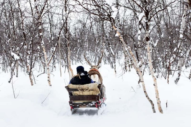 KIRUNA: Reindeer Sled Ride in the Countryside - A Genuine Arctic Journey: The Experience in Detail