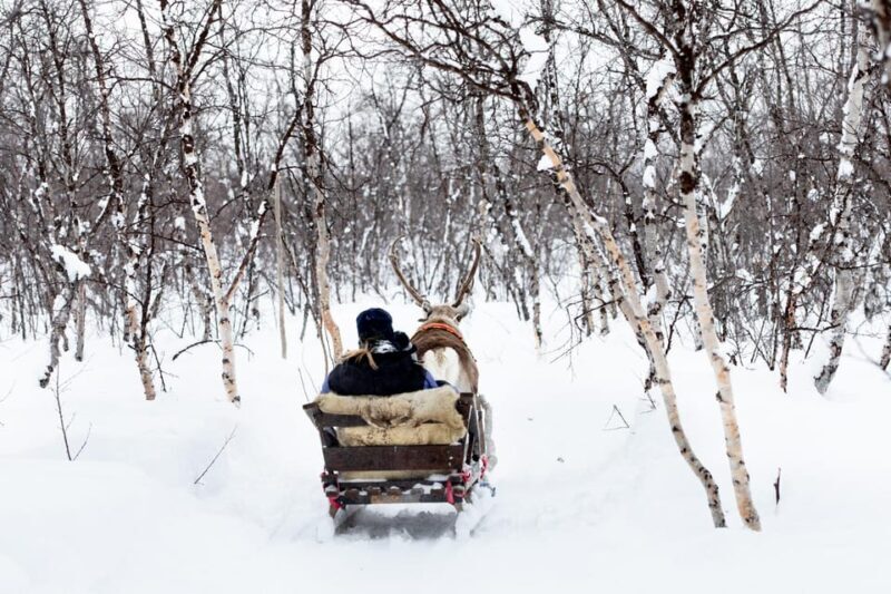 KIRUNA: Reindeer Sled Ride in the Countryside - FAQ