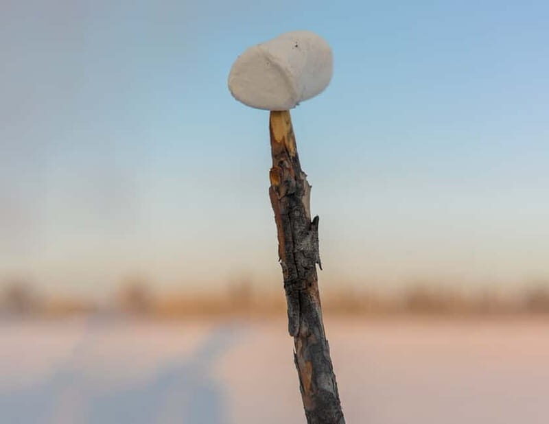 Kiruna: Snowshoe Hike & Ice fishing Tour - Exploring the Arctic: Snowshoe Hike & Ice Fishing Tour from Kiruna
