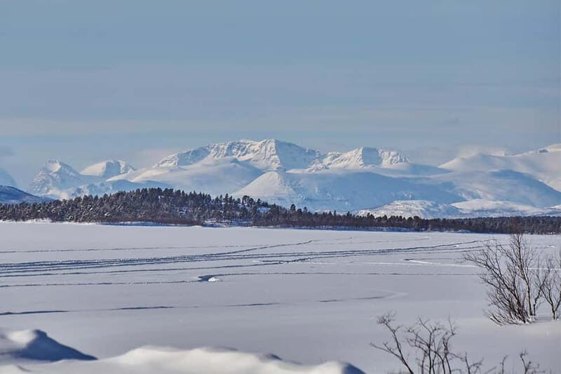 Kiruna: Wildlife and nature photography - Who Would Probably Love This?