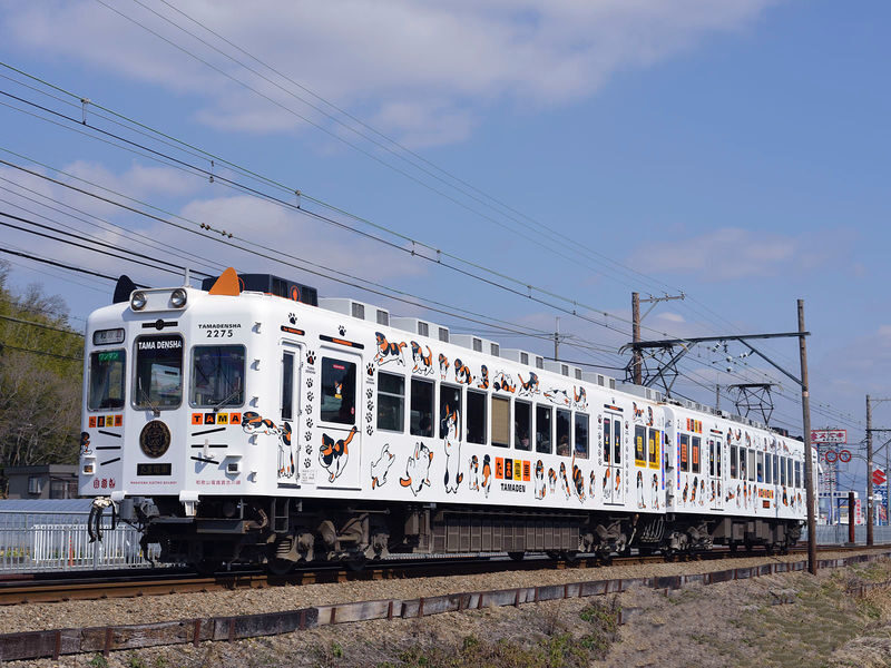 Kishi Station & Shirahama Full-Day Private Charter Tour - What to know before you book
