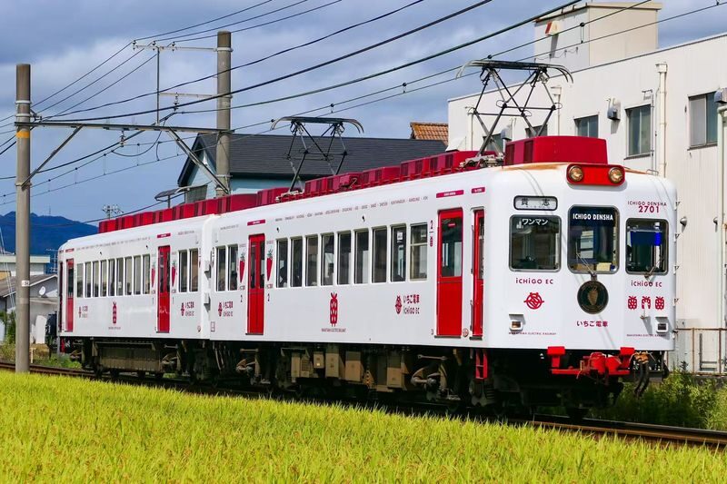 Kishi Station & Shirahama Full-Day Private Charter Tour - Kishi Station and Shirahama in one day