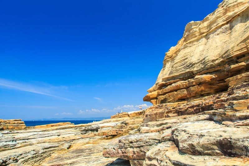 Kishi Station & Shirahama Full-Day Private Charter Tour - What the starting price tells you