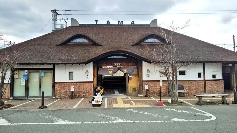 Kishi Station & Shirahama Full-Day Private Charter Tour - Is this the right way to see both places?