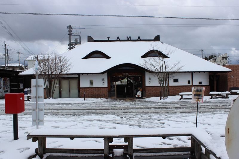 Kishi Station & Shirahama Full-Day Private Charter Tour - Make the call