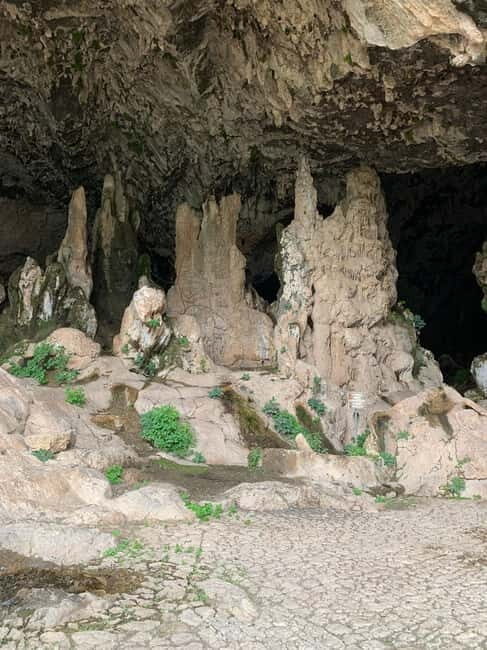 Kissamos: Elafonisi Beach Day Tour by MiniBus - A Detailed Look at the Tour Experience