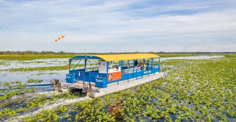 Kissimmee: 1 Hour Florida Everglades Pontoon Boat Tour - Who Is This Tour Best For?