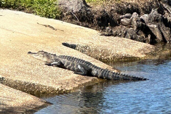 Kissimmee and St. Cloud Beach Tour on All Electric Trike (3 hrs.) - Frequently Asked Questions