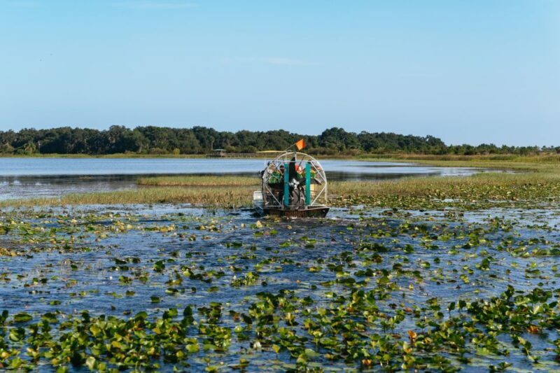 Kissimmee: Everglades Airboat Adventure Tour - Exploring the Florida Everglades from Kissimmee