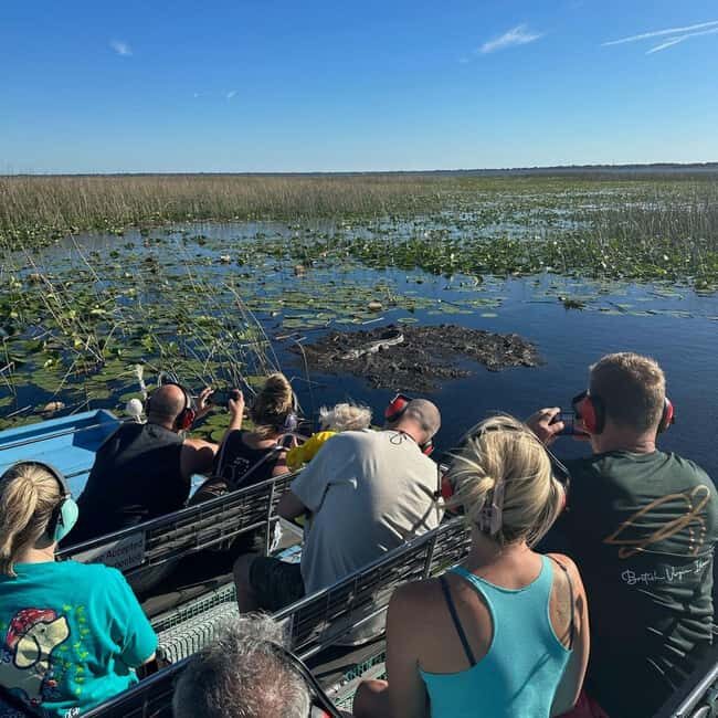 Kissimmee: Everglades Alligator and Wildlife Airboat Tour - Frequently Asked Questions