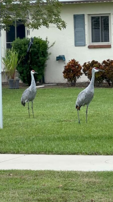 Kissimmee: Self-Guided Lakefront Tour on Electric Bike - The Itinerary Breakdown