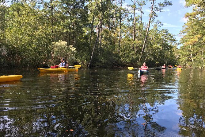 Kitty Hawk Maritime Forest Kayak Tour - Exploring the Kitty Hawk Maritime Forest Kayak Tour: An Authentic Waterway Experience