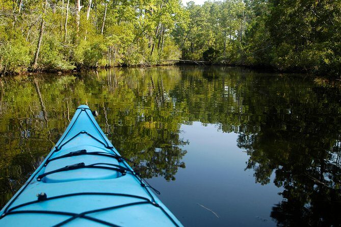 Kitty Hawk Maritime Forest Kayak Tour - Key Points