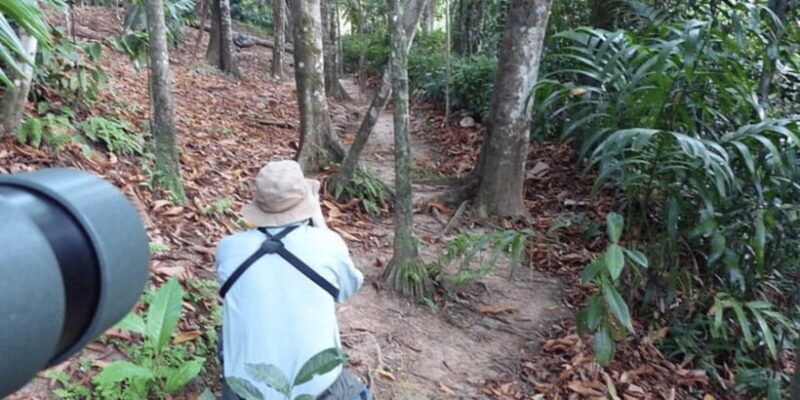 Kitulgala's Total Immersion: Full-Day Adventure Escape - A Closer Look at the Tour Experience